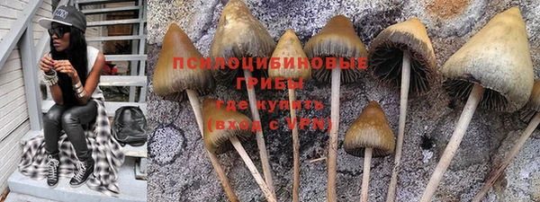 трава Баксан