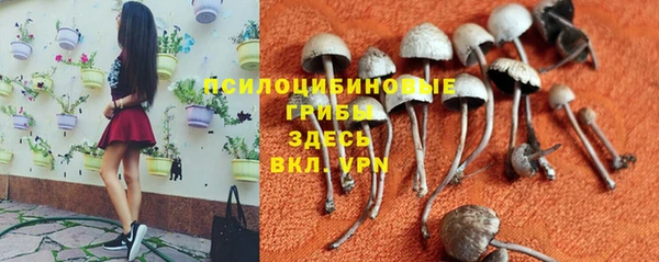 трава Баксан