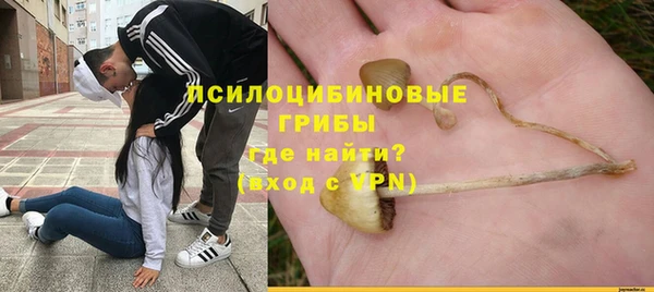 герыч Протвино